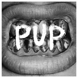 140226-pup-album-cover
